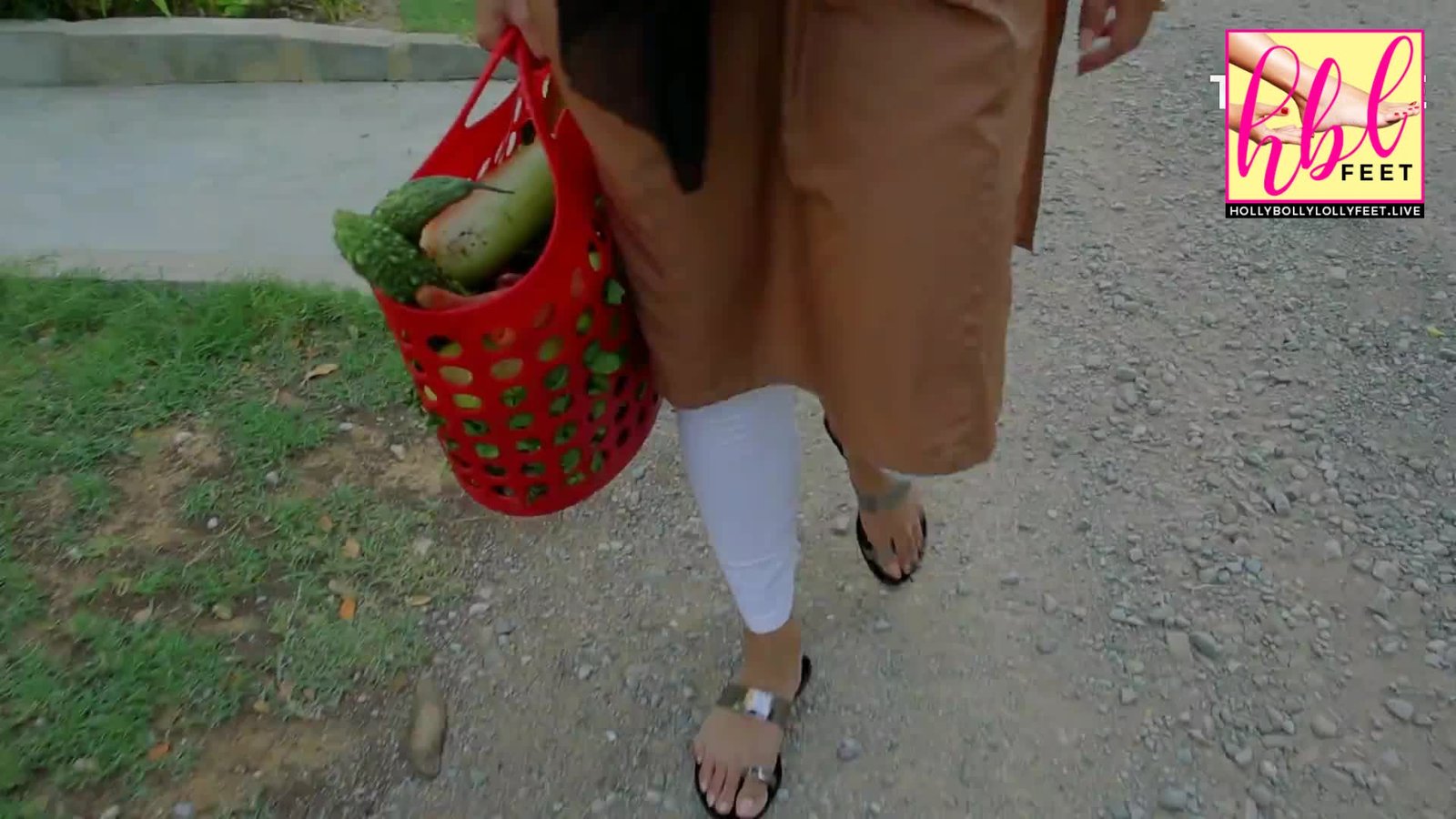 Falak Sheikh Feet